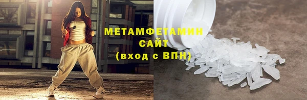 прущие грибы Вяземский