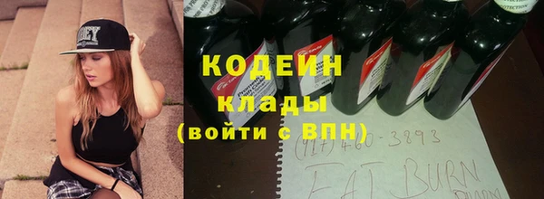 прущие грибы Вяземский