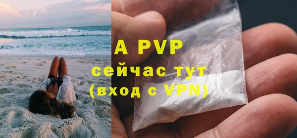 прущие грибы Вяземский