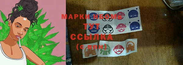 дурь Бронницы