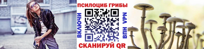 Псилоцибиновые грибы MAGIC MUSHROOMS  что такое наркотик  Дегтярск 
